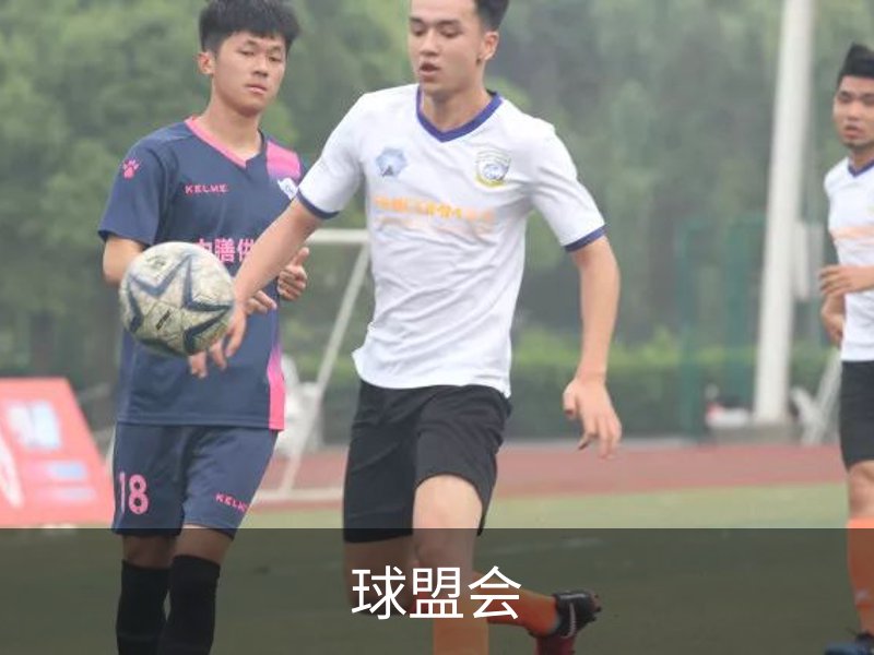 关于球盟会